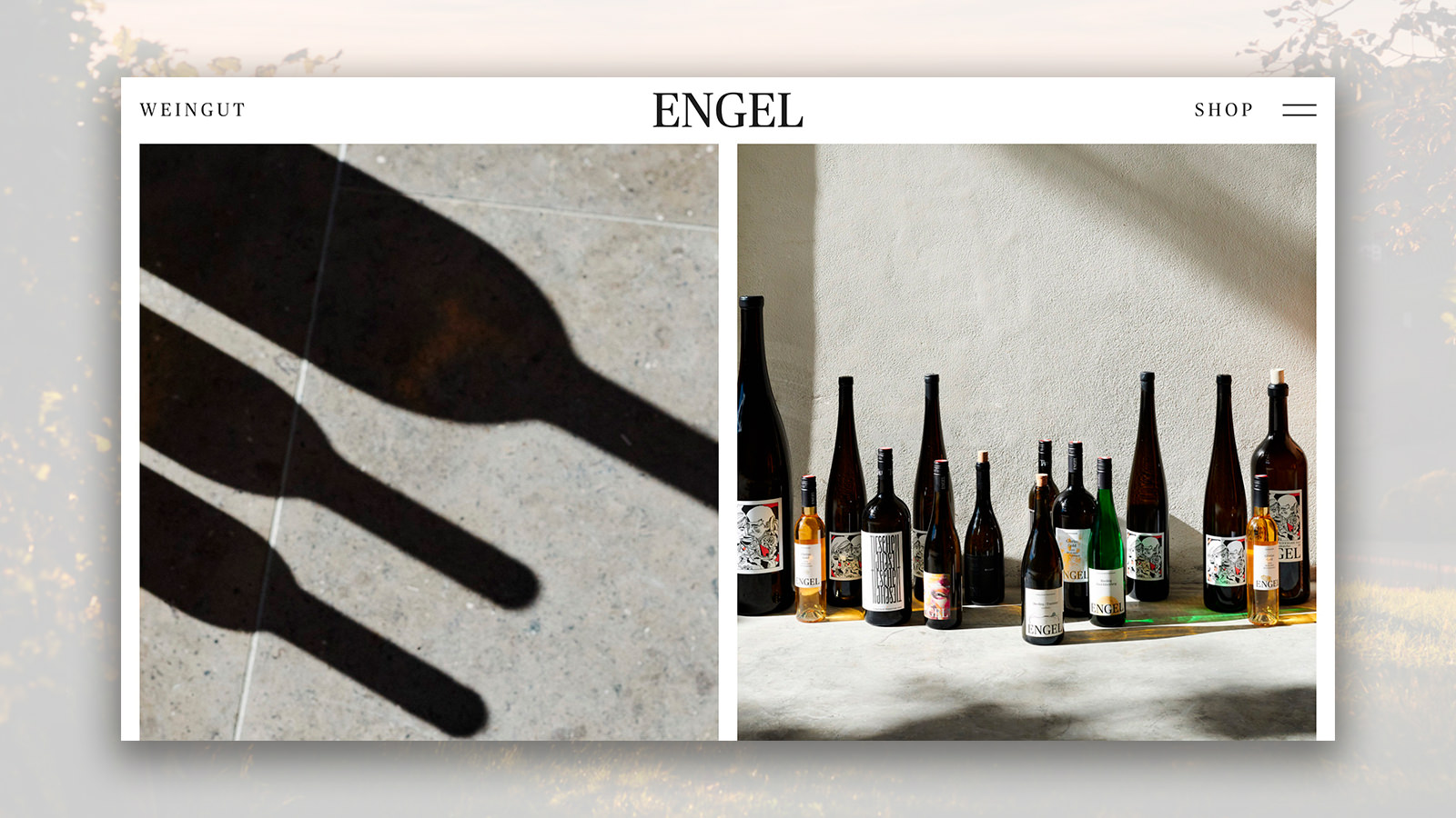 Weingut Engel 15