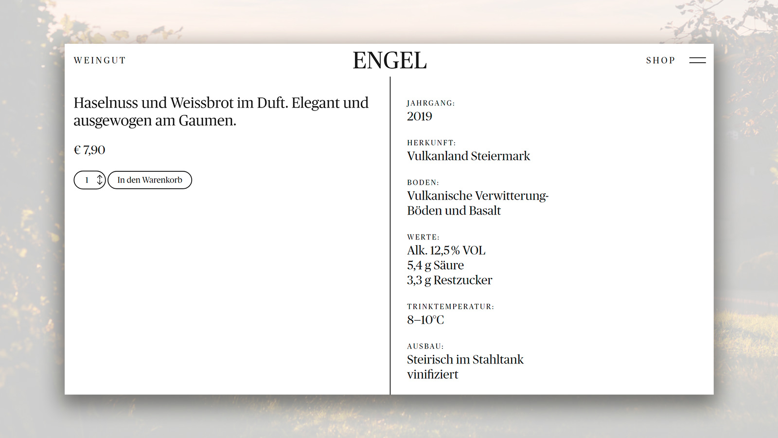 Weingut Engel 19