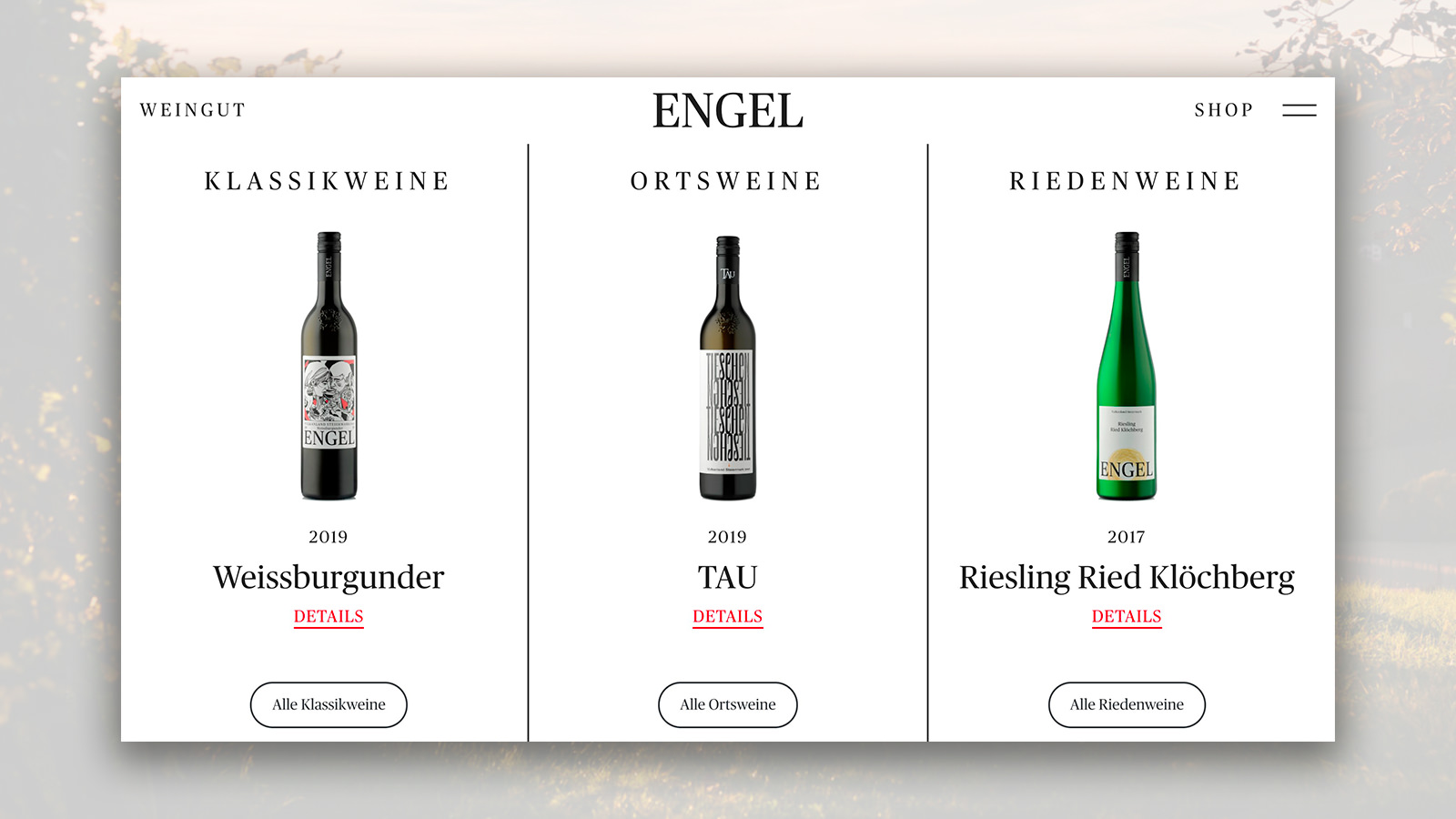 Weingut Engel 17